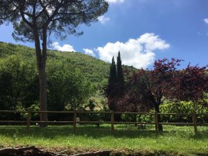 Paolo GENOVESI Fotoreportage Abbazia di FARFA