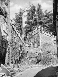ORVINIO (Rieti)- Il Castello-Visione dell’antica Torretta e del Grande Torrione circondato dai cedri del Libano - foto del 1935
