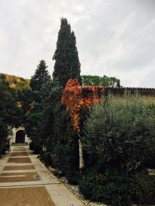 Paolo GENOVESI Fotoreportage Abbazia di FARFA