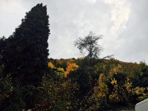 Paolo GENOVESI Fotoreportage Abbazia di FARFA