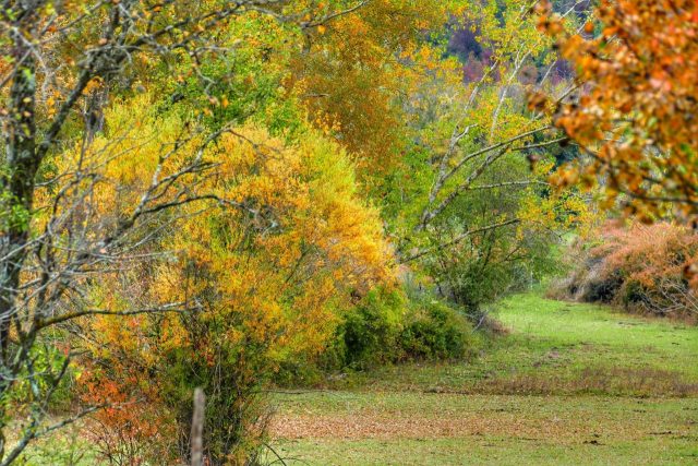 Paolo Genovesi Autunno in Sabina