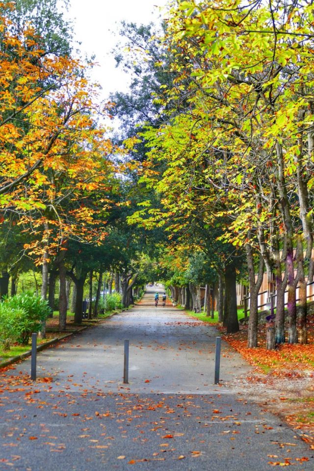 Paolo Genovesi Autunno in Sabina