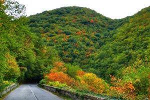 Paolo Genovesi Autunno in Sabina