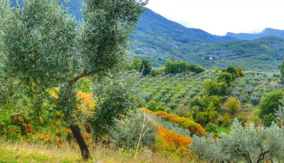 Paolo Genovesi Autunno in Sabina