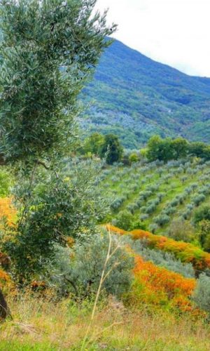 Paolo Genovesi Autunno in Sabina