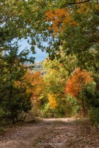 ALESSANDRA FINITI Fotoreportage "Autunno in Sabina"