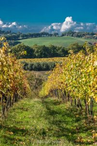 ALESSANDRA FINITI Fotoreportage "Autunno in Sabina"