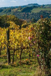 ALESSANDRA FINITI Fotoreportage "Autunno in Sabina"