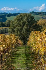 ALESSANDRA FINITI Fotoreportage "Autunno in Sabina"