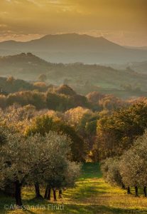 ALESSANDRA FINITI Fotoreportage "Autunno in Sabina"