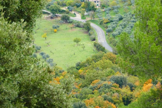 Paolo Genovesi Autunno in Sabina