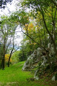 Paolo Genovesi Autunno in Sabina