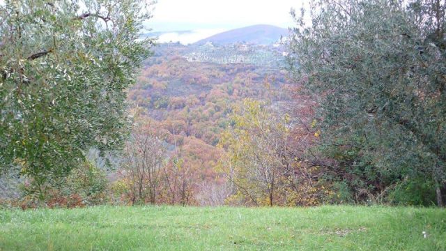 Paolo Genovesi Autunno in Sabina