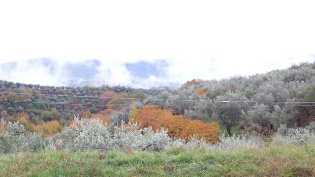 Paolo Genovesi Autunno in Sabina