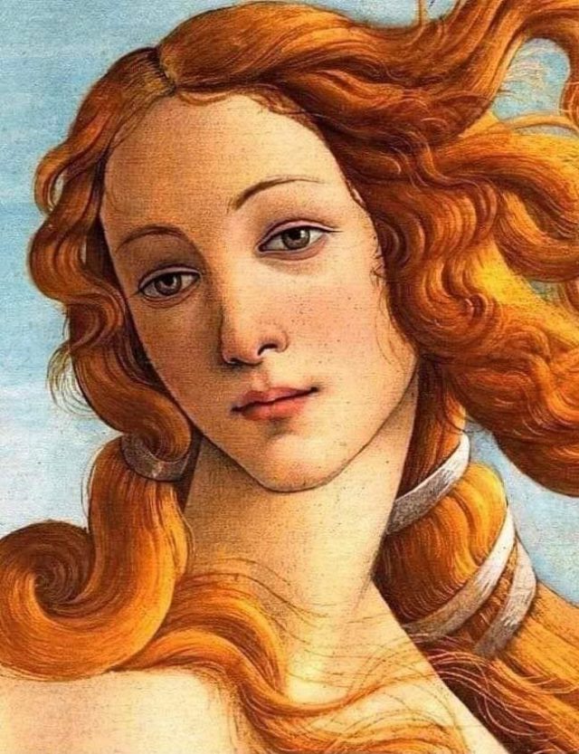 Simonetta Vespucci “La Senza Paragoni”