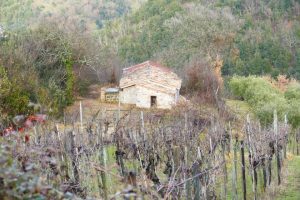 Paolo Genovesi Fotoreportage MONTENERO in SABINA (Rieti)