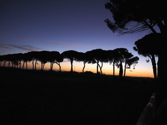 Foto di Franco Leggeri- Campagna Romana Viale dei pini Torre della BOTTACCIA-