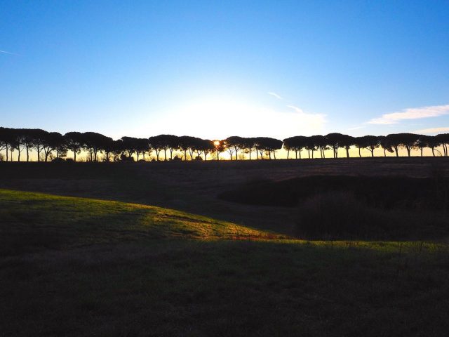 Foto di Franco Leggeri- Campagna Romana Viale dei pini Torre della BOTTACCIA-