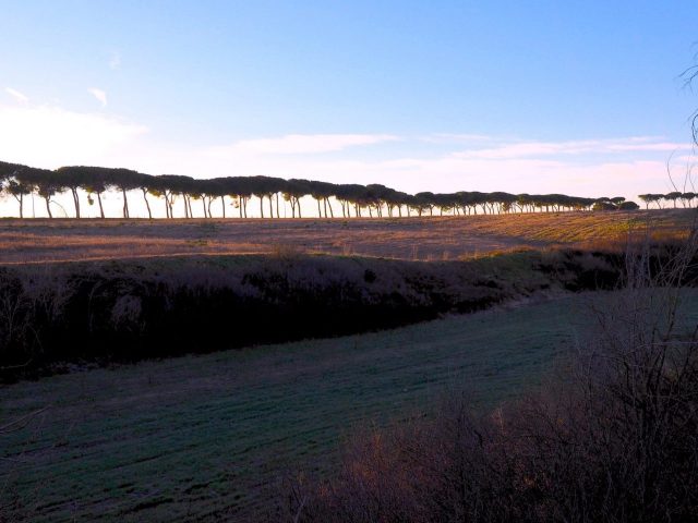 Foto di Franco Leggeri- Campagna Romana Viale dei pini Torre della BOTTACCIA-