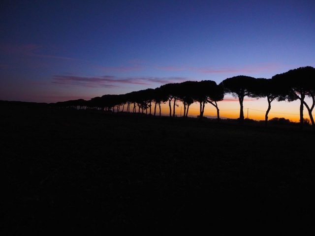 Foto di Franco Leggeri- Campagna Romana Viale dei pini Torre della BOTTACCIA-