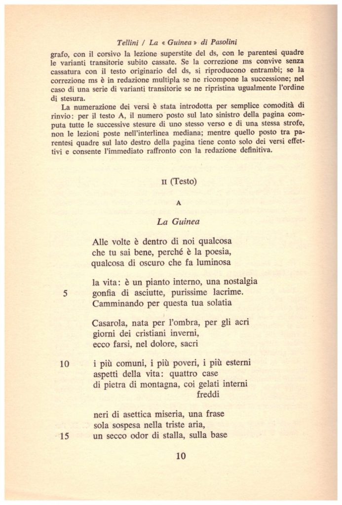 LA GUINEA DI Pier Paolo PASOLINI 1