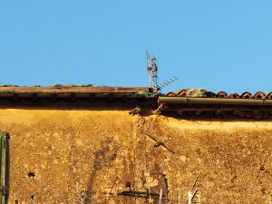 Castelnuovo di Farfa e i suoi particolari