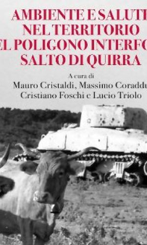 Ambiente e salute nel territorio del Poligono Interforze Salto di Quirra