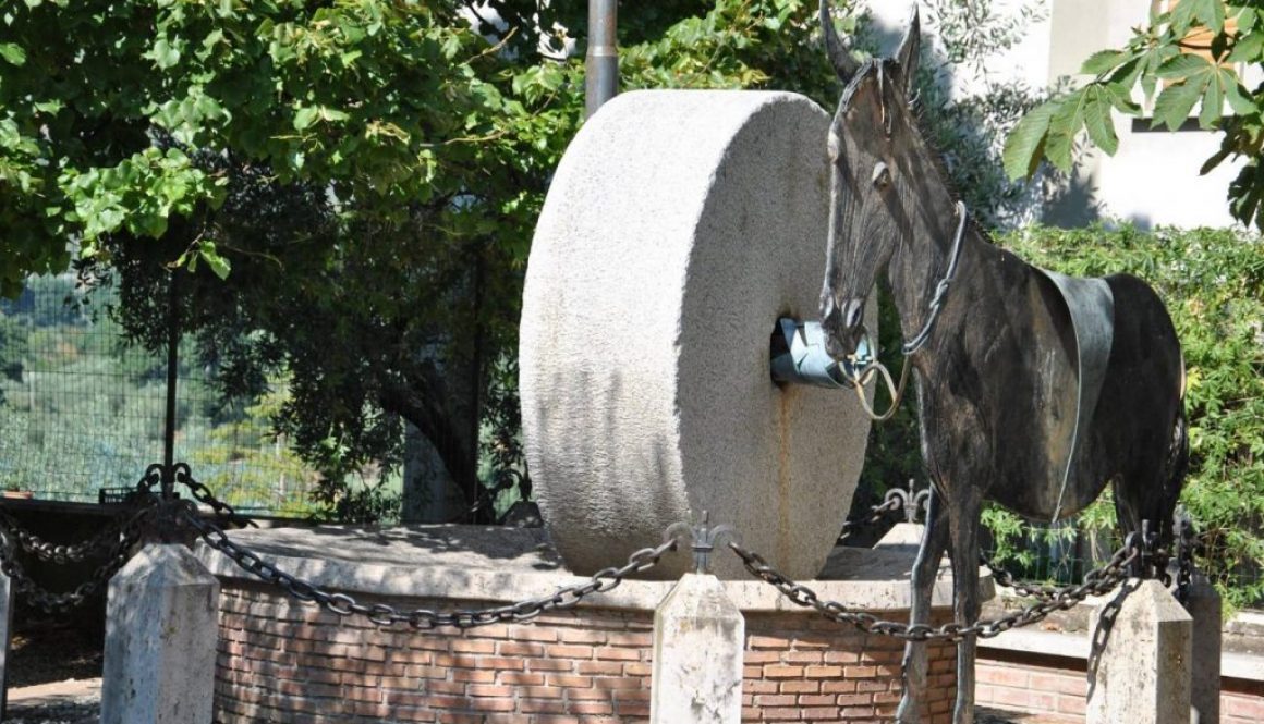 COLTODINO in Sabina (Rieti)-Monumento all'Olivicoltura