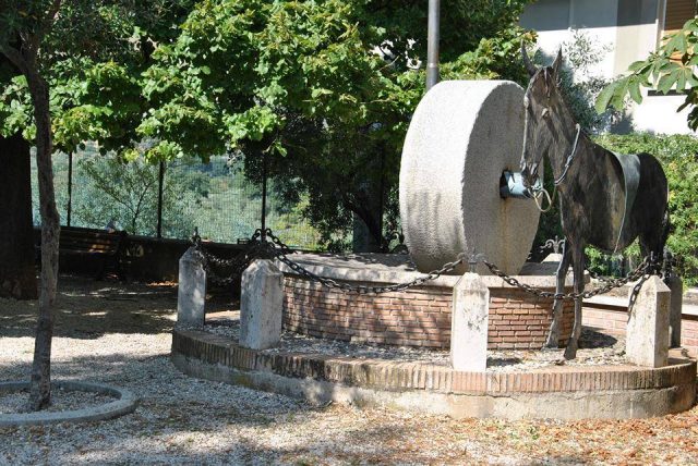 COLTODINO in Sabina (Rieti)-Monumento all'Olivicoltura