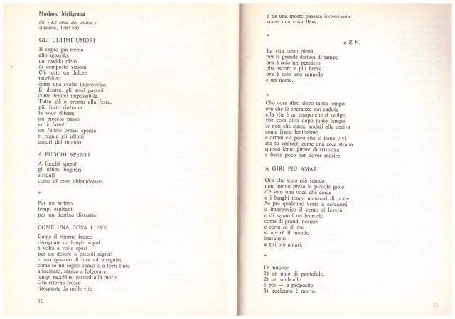 Rivista Collettivo R-Poesie pubblicate n° 29/30 Gennaio 