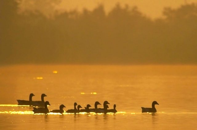 Riserva Naturale Regionale Tevere Farfa