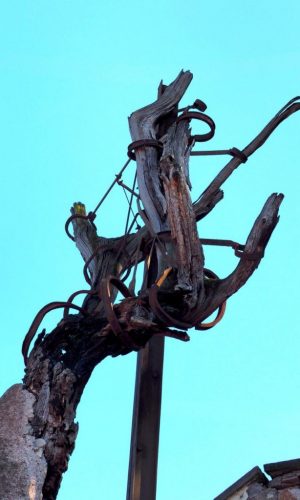 La quercia del Tasso al Gianicolo