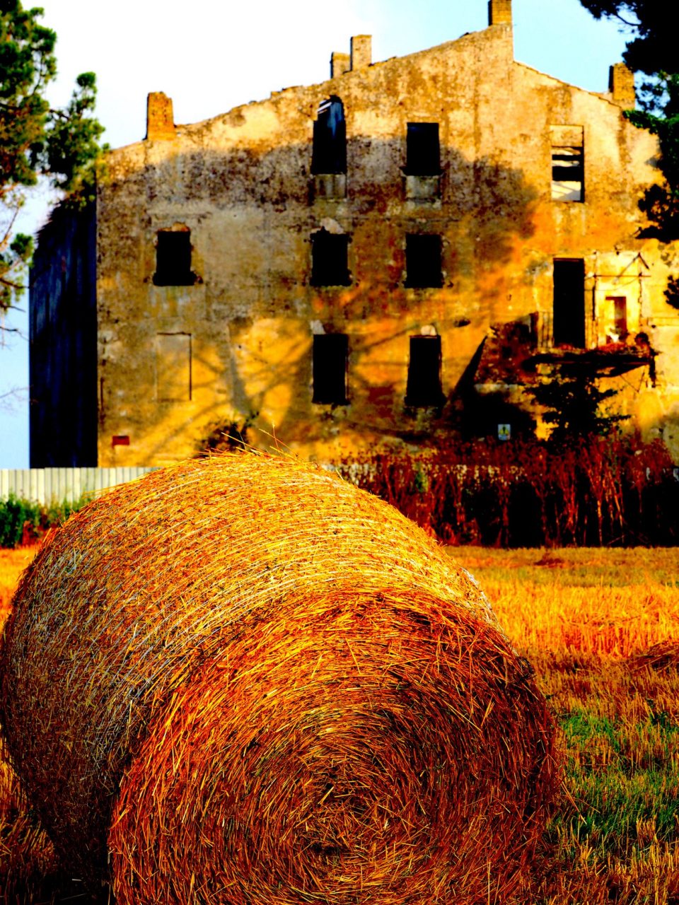 Associazione CORNELIA ANTIQUA -Fotoreportage -Castel di Guido Il Degrado del Sito Archeologico Casale della Bottaccia