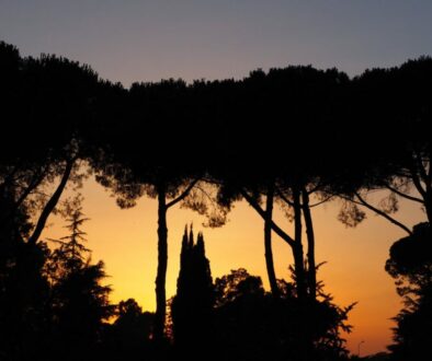 Campagna Romana-Il sorgere del sole agosto 2022 -