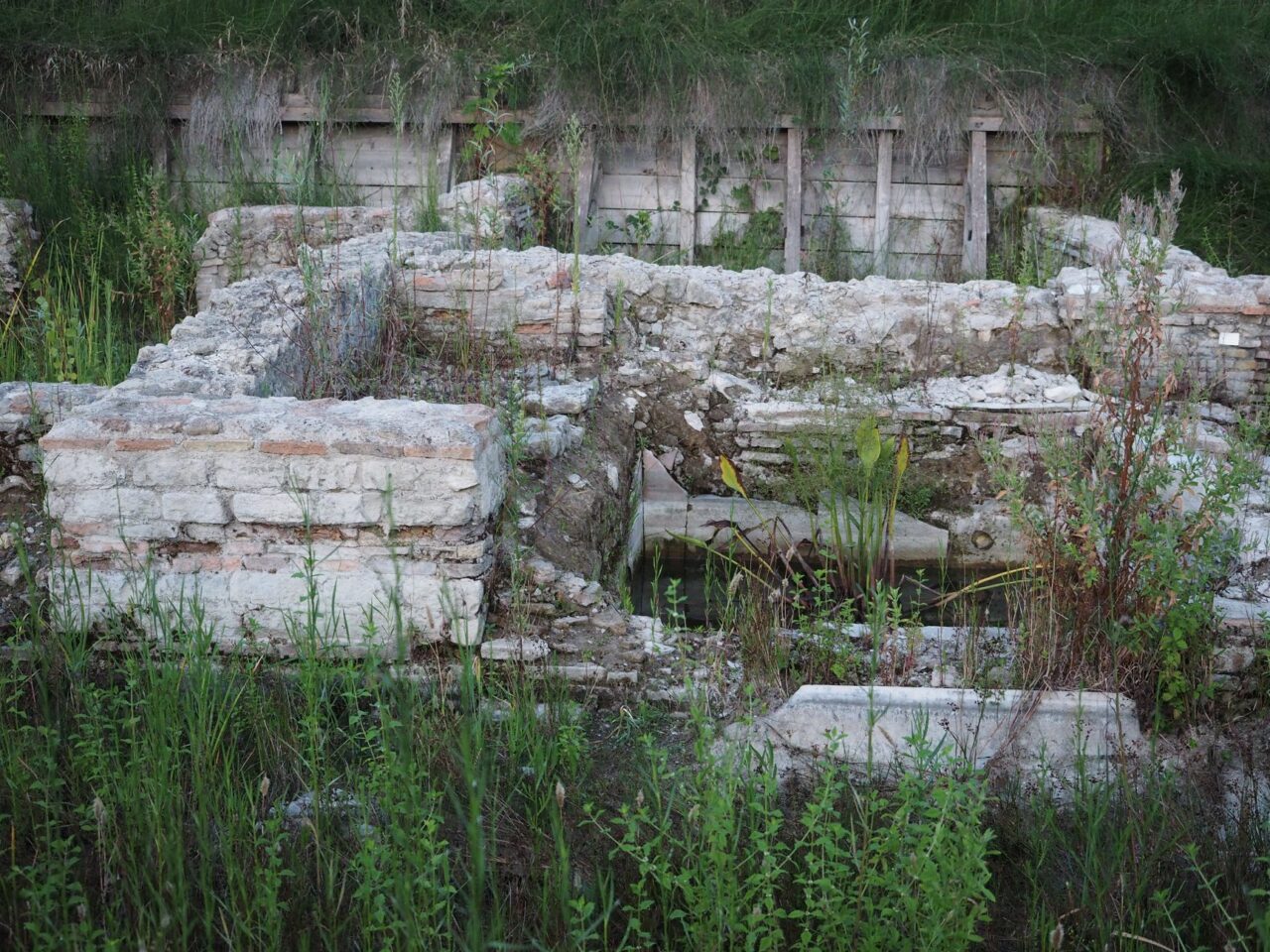 Indagini archeologiche Via Aurelia-Località Malagrotta(2011-2013)