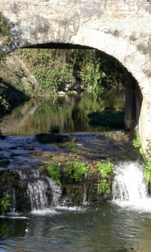 PONTE sul FIUME ARRONE