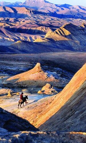 Steve McCurry