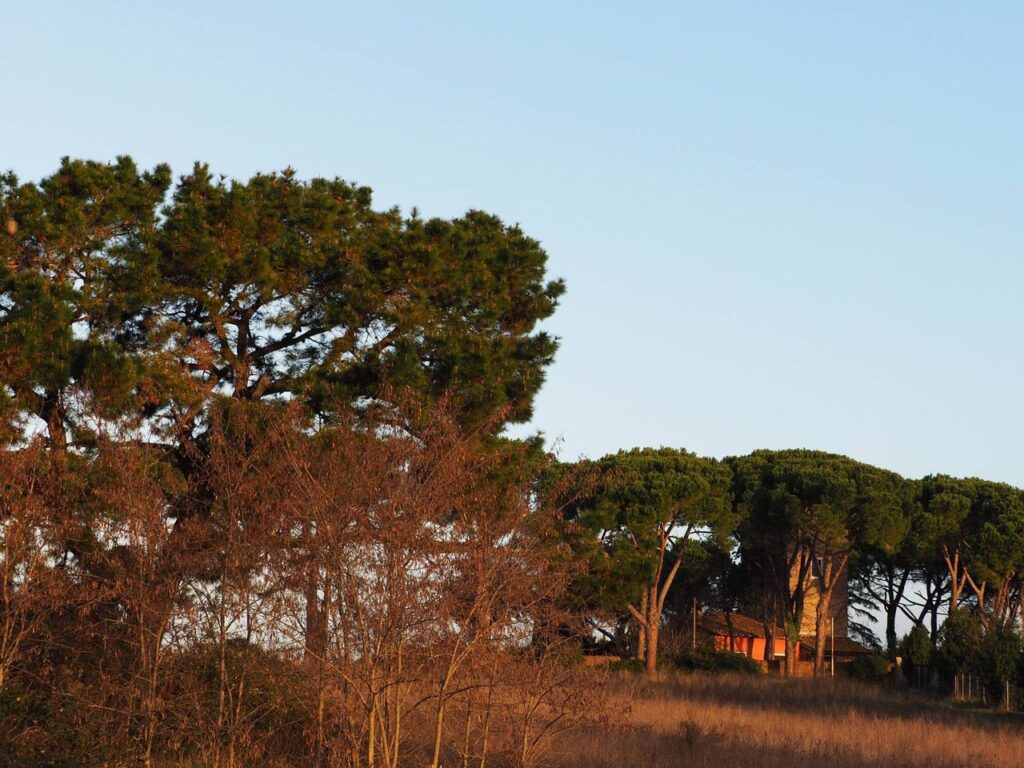 ranco Leggeri-Fotoreportage-ROMA -Torre Aurelia