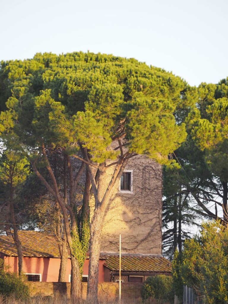 ranco Leggeri-Fotoreportage-ROMA -Torre Aurelia