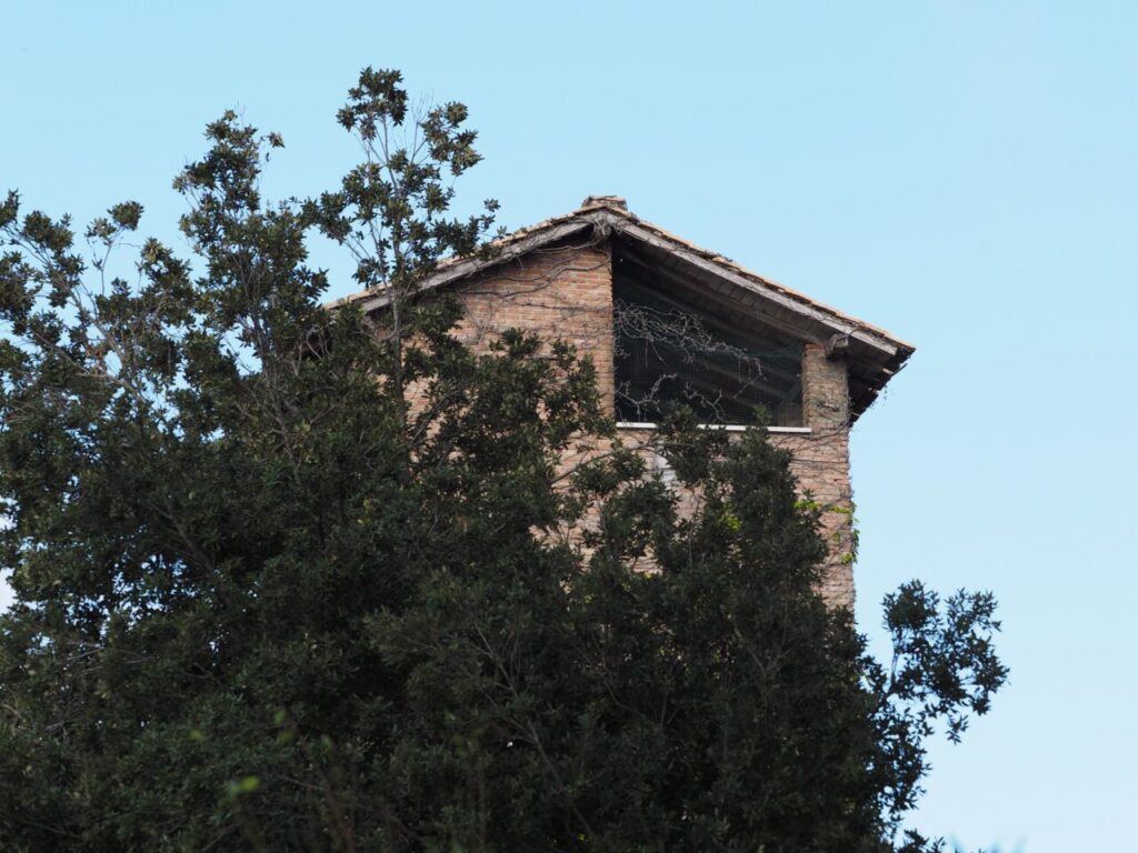 ranco Leggeri-Fotoreportage-ROMA -Torre Aurelia