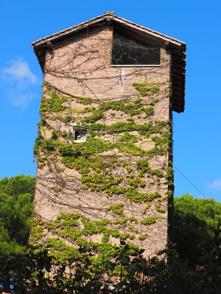 Franco Leggeri-Fotoreportage-ROMA -Torre Aurelia