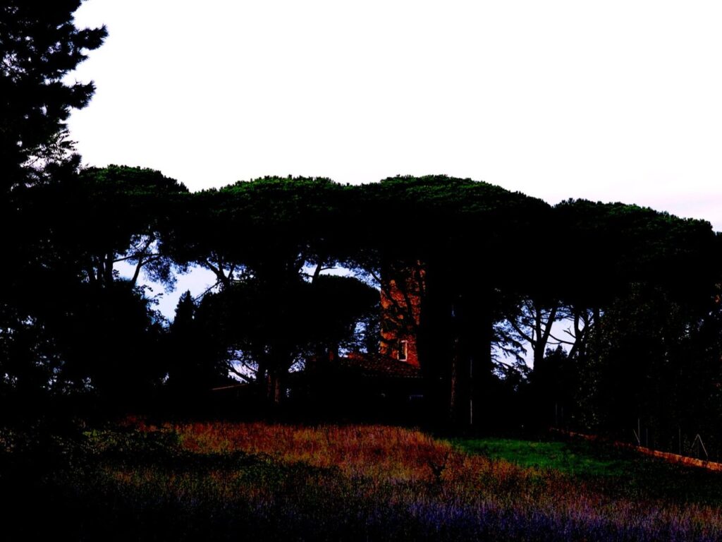 Franco Leggeri-Fotoreportage-ROMA -Torre Aurelia