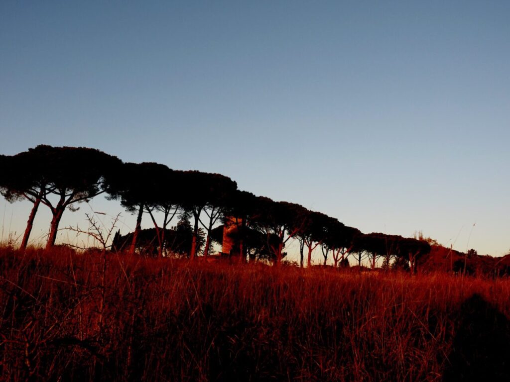 ranco Leggeri-Fotoreportage-ROMA -Torre Aurelia