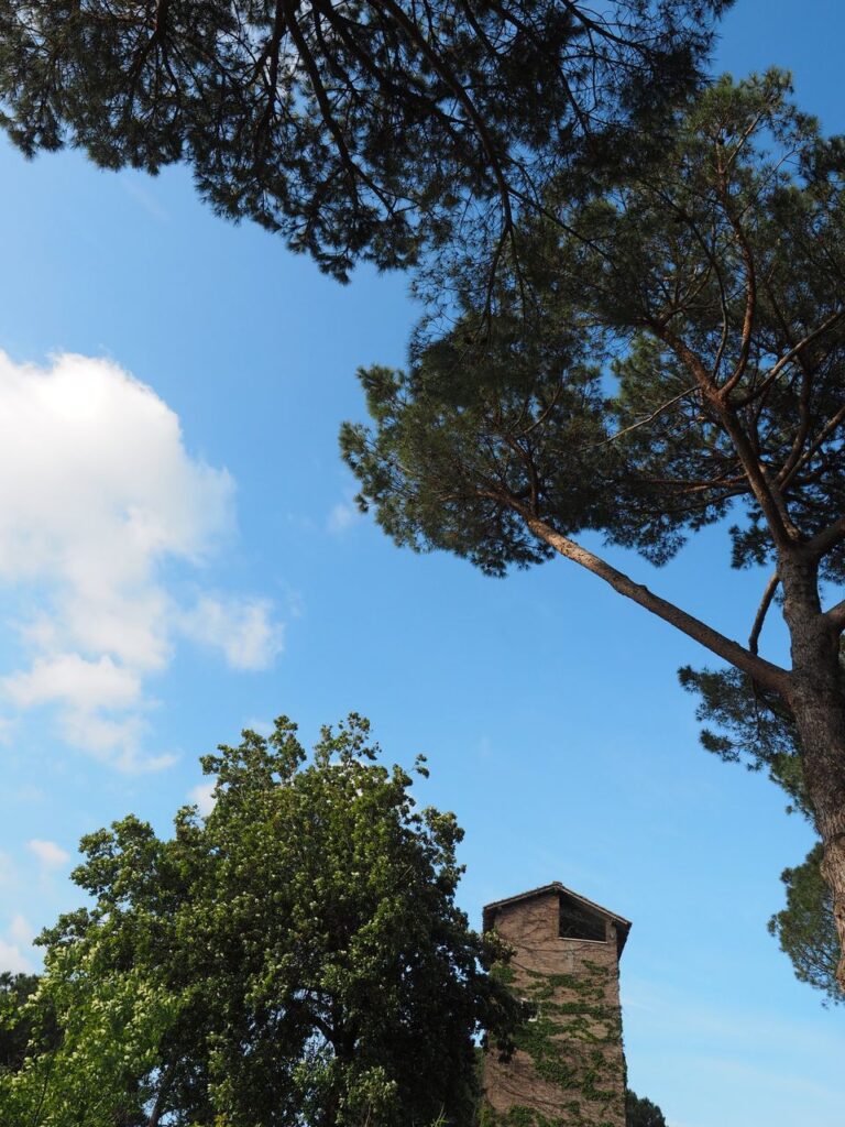 Franco Leggeri-Fotoreportage-ROMA -Torre Aurelia