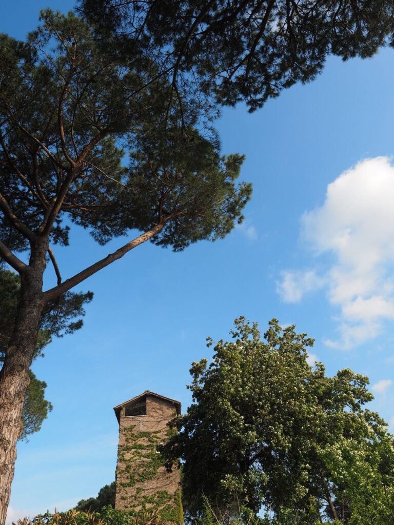 Franco Leggeri-Fotoreportage-ROMA -Torre Aurelia