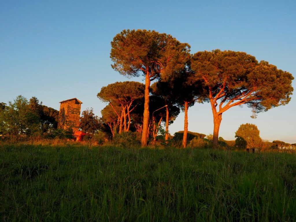 ranco Leggeri-Fotoreportage-ROMA -Torre Aurelia