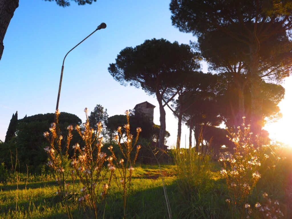 Franco Leggeri-Fotoreportage-ROMA -Torre Aurelia