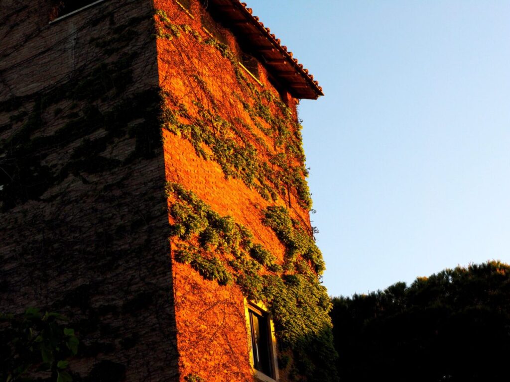 Franco Leggeri-Fotoreportage-ROMA -Torre Aurelia