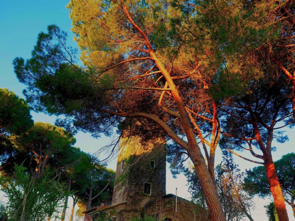 Franco Leggeri-Fotoreportage-ROMA -Torre Aurelia