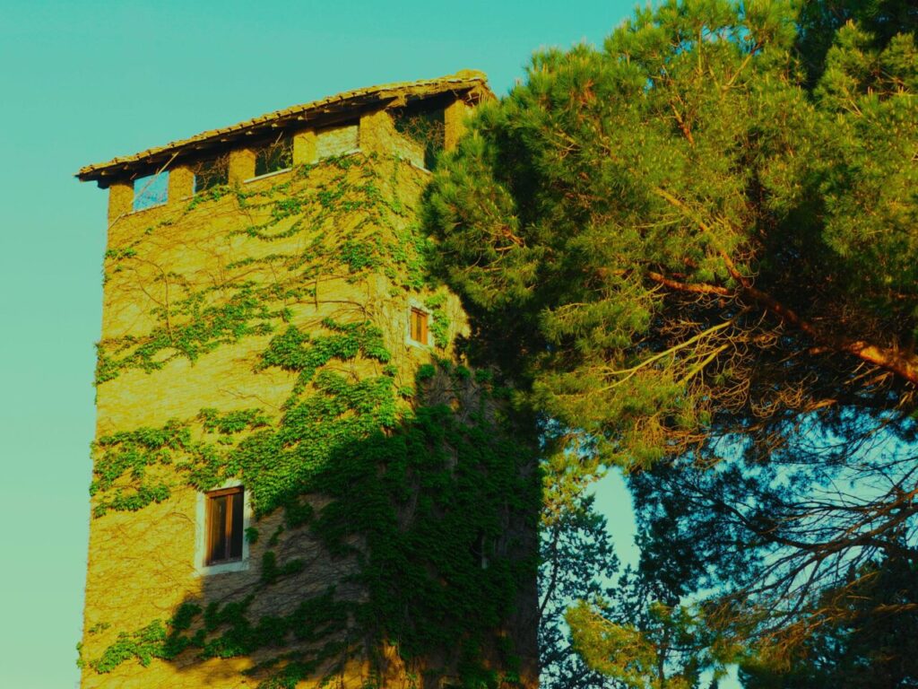 Franco Leggeri-Fotoreportage-ROMA -Torre Aurelia